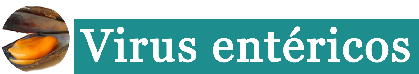 Virus etiqueta copiar