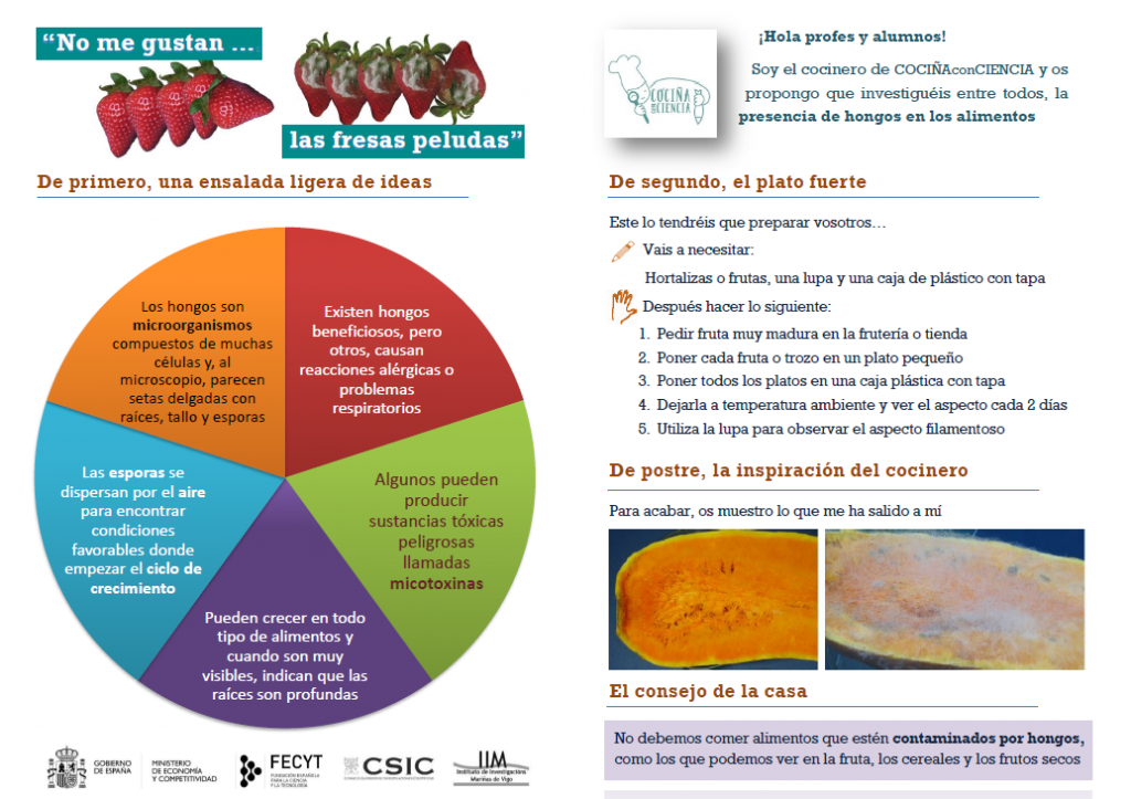 recorte-fresas