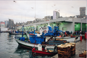 porto-de-vigo-de-santi-pascual