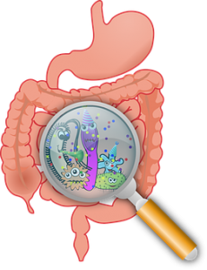 bichitos-en-intestino